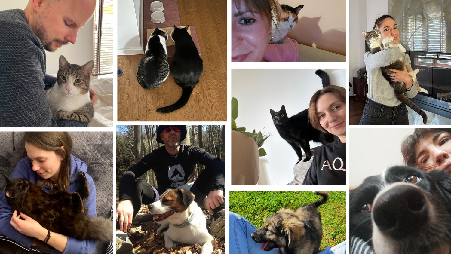 WIR SPENDEN ZUM 6. JAHR IN FOLGE FÜR TIERE